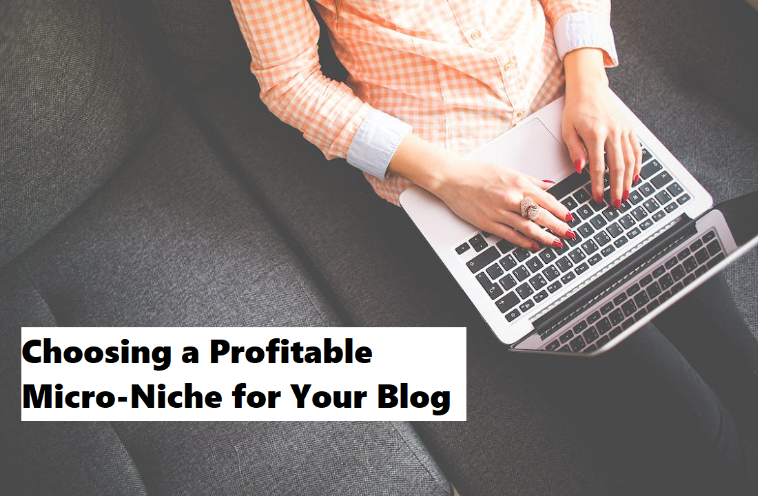 Choosing a Profitable Micro-Niche for Your Blog