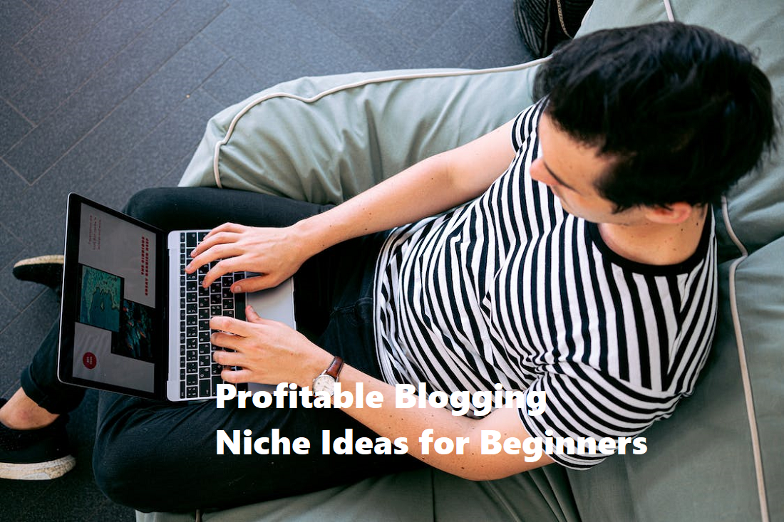 Profitable Blogging Niche Ideas for Beginners