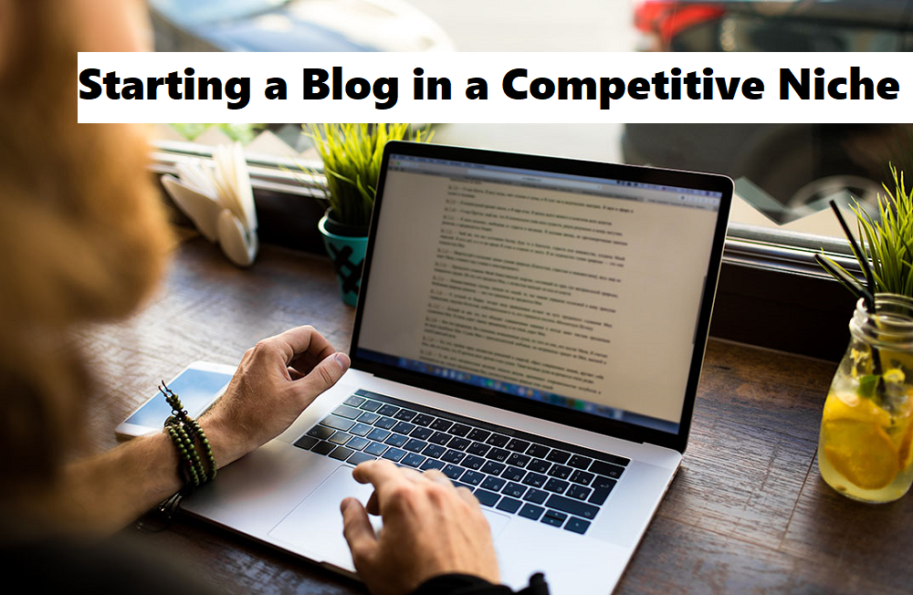 Starting a Blog in a Competitive Niche